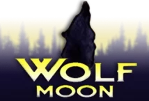 Image of the slot machine game Wolf Moon provided by Booongo