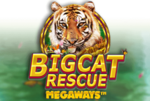 Image of the slot machine game Big Cat Rescue Megaways provided by Yggdrasil Gaming