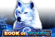 Image of the slot machine game Book of Wolves provided by Spinomenal