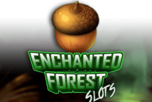 Image of the slot machine game Enchanted Forest provided by Play'n Go