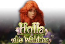 Image of the slot machine game Holla die Waldfee provided by Hölle games