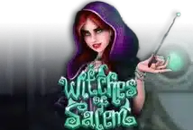 Image of the slot machine game Witches of Salem provided by Rival Gaming