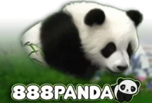 Image of the slot machine game 888 Panda provided by spinomenal.