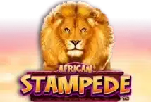 Image of the slot machine game African Stampede provided by novomatic.