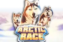 Image Of The Slot Machine Game Arctic Race Provided By Novomatic