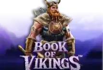 Image of the slot machine game Book of Vikings provided by 2By2 Gaming
