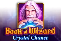 Image of the slot machine game Book of Wizard provided by Microgaming