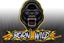 Image of the slot machine game Born Wild provided by Hacksaw Gaming