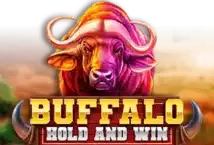 Image of the slot machine game Buffalo Hold and Win provided by Booming Games