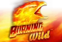 Image of the slot machine game Burning Wild provided by Novomatic