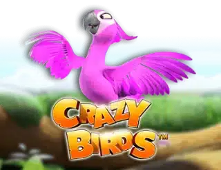 Crazy Birds.webp