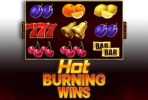 Image of the slot machine game Hot Burning Wins provided by Casino Technology