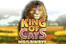 Image of the slot machine game King of Cats Megaways provided by Gamomat