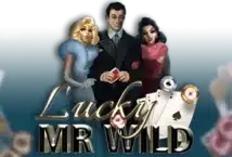 Image of the slot machine game Lucky Mr Wild provided by Booming Games