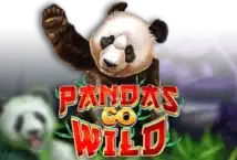 Image of the slot machine game Pandas Go Wild provided by woohoo-games.
