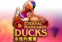 Image of the slot machine game Power Prizes – Eternal Mandarin Ducks provided by novomatic.