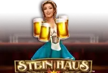 Image of the slot machine game Stein Haus provided by Novomatic