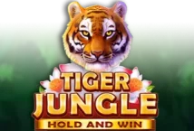 Image of the slot machine game Tiger Jungle provided by Booongo