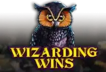 Image of the slot machine game Wizarding Wins provided by Woohoo Games