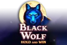 Image of the slot machine game Black Wolf provided by Casino Technology