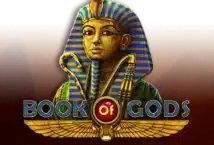 Image of the slot machine game Book of Gods provided by Amatic