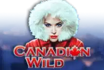 Image of the slot machine game Canadian Wild provided by High 5 Games