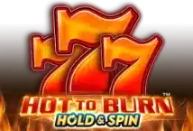 Image of the slot machine game Hot to Burn Hold and Spin provided by Amusnet Interactive