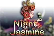 Image of the slot machine game Night Jasmine provided by High 5 Games