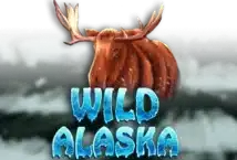 Image of the slot machine game Wild Alaska provided by Spinomenal