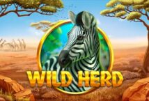 Image of the slot machine game Wild Herd provided by Gluck Games