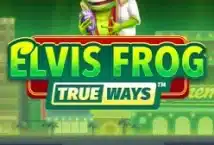 Image of the slot machine game Elvis Frog Trueways provided by BGaming