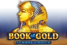 Image of the slot machine game Book of Gold: Symbol Choice provided by Playson