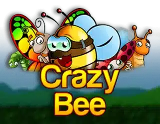 Crazy Bee Slot Review 2024 - Free Play Demo