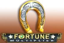 Image of the slot machine game Fortune Multiplier provided by Booongo