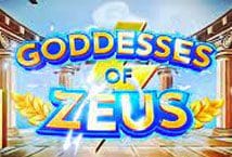Image of the slot machine game Goddesses of Zeus provided by PopOK Gaming
