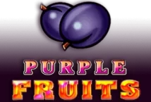 Image of the slot machine game Purple Fruits provided by Casino Technology