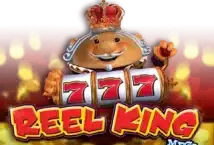 Image of the slot machine game Reel King Mega provided by Gamomat