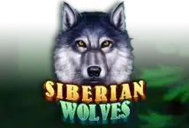 Image of the slot machine game Siberian Wolves provided by Ka Gaming