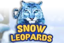 Image of the slot machine game Snow Leopards provided by Booming Games