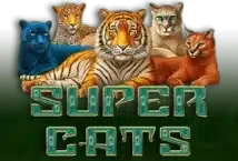 Image of the slot machine game Super Cats provided by Microgaming