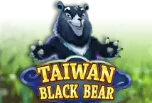 Image of the slot machine game Taiwan Black Bear provided by Gameplay Interactive