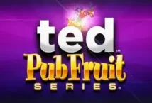 Image of the slot machine game Ted Pub Fruit provided by Blueprint Gaming