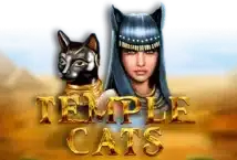 Image of the slot machine game Temple Cats provided by BF Games