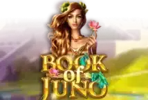 Image of the slot machine game Book of Juno provided by Gamomat