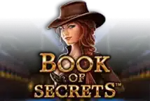 Image of the slot machine game Book of Secrets provided by Synot Games