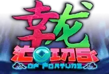 Image of the slot machine game Coins of Fortune provided by nolimit-city.