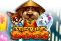 Image of the slot machine game Fortune Dogs provided by Habanero