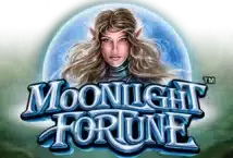 Image of the slot machine game Moonlight Fortune provided by Synot Games