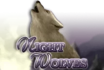 Image of the slot machine game Night Wolves provided by Gamomat