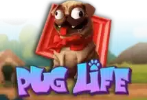 Image of the slot machine game Pug Life provided by Hacksaw Gaming
